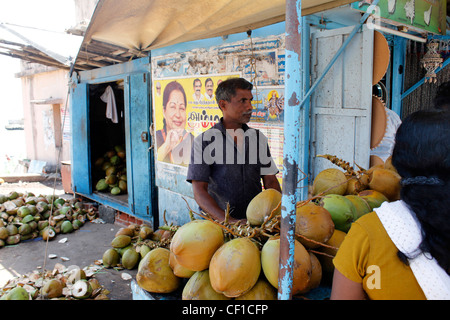 ein Straßenhändler verkaufen zarte Kokosnüsse in Kanyakumari, Indien. Im Hintergrund ist eine politische Graffiti. Stockfoto