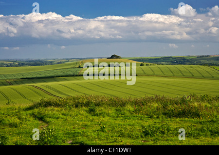 Blick über den North Wessex Downs in Richtung Woodborough Hügel in der Mitte Pewsey Vale. Stockfoto