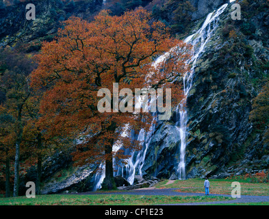 Powerscourt Wasserfall in den Fluss Dargle abstürzende. Der Wasserfall ist in Powerscourt Estate und ist Irlands höchsten Stockfoto