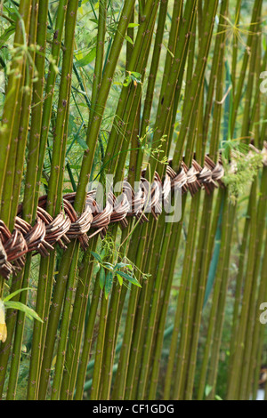 Weben mit Salix in das Festival International des Jardins de Chaumont-Sur-Loire. Stockfoto