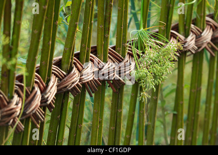 Weben mit Salix in das Festival International des Jardins de Chaumont-Sur-Loire. Stockfoto