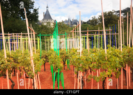 Festival International des Jardins de Chaumont-Sur-Loire, 2010, "Jardins Corps et Âmes': Garten"Labyrinthe De La Mémoire" Stockfoto