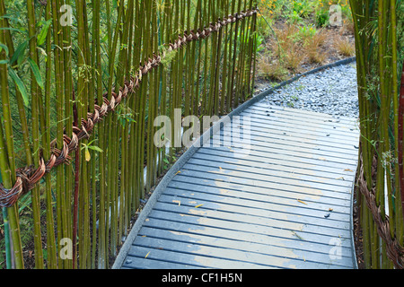 Weben mit Salix in das Festival International des Jardins de Chaumont-Sur-Loire. Stockfoto