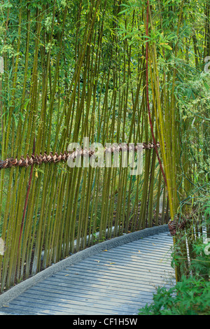 Weben mit Salix in das Festival International des Jardins de Chaumont-Sur-Loire. Stockfoto