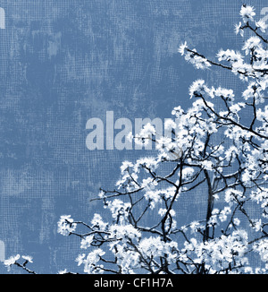 Blühenden Frühling Baum Hintergrund, weiße Blüten über blauer Himmel, strukturiert Stockfoto