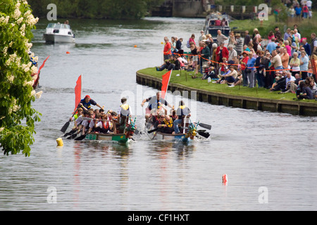 Drachenbootrennen auf der jährlichen Spendenaktion auf der Themse in Abingdon. Stockfoto