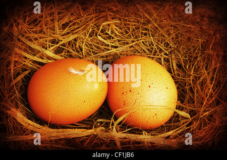 Zwei goldenen Eiern mit winzigen Federn isoliert über Trockenrasen, Grunge Stil Stockfoto