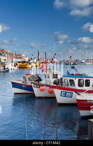 Angelboote/Fischerboote vertäut im Hafen, Scarborough, an der Nordküste Yorkshire. Stockfoto