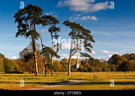 Fernsicht auf die Turmspitze der All Saints Church in Down Ampney. Stockfoto