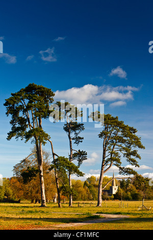 Fernsicht auf die Turmspitze der All Saints Church in Down Ampney. Stockfoto