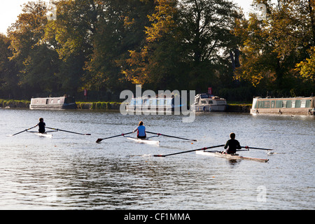 Einzelner Scull Rudern auf der Themse in Oxford im Herbst. Stockfoto