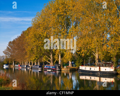 Schmale Boote vertäut an der Themse in Lechlade. Stockfoto