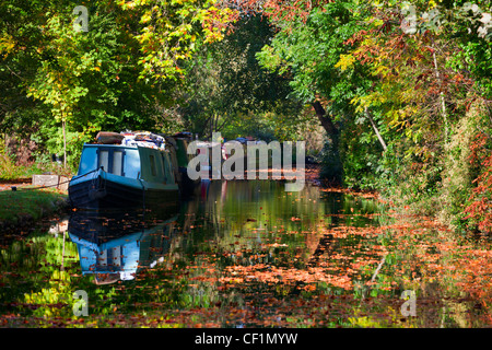 Hausboote am Oxford-Kanal im Herbst. Stockfoto