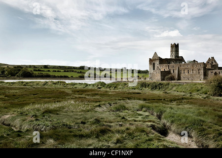 Timoleague Abbey West Cork Küstenroute Irland Stockfoto