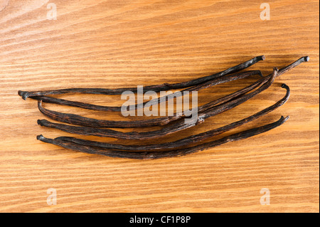 Vanilleschoten von Vanilla planifolia Stockfoto