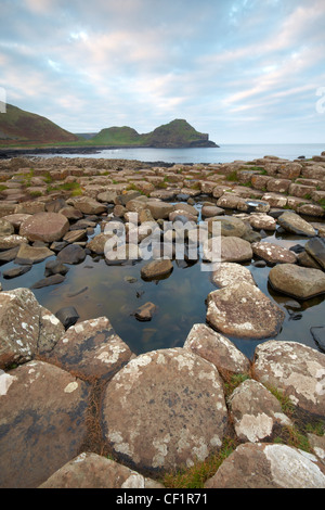 Verriegelung Basaltsäulen von Giants Causeway, genannt als das vierte Naturwunder im Vereinigten Königreich, County Antrim. Stockfoto