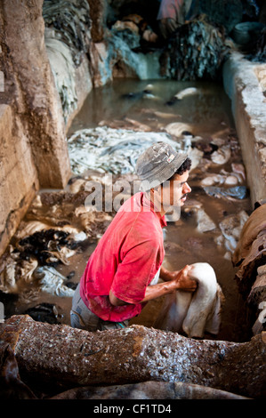 Mann bei der Arbeit in der Chouwara Leder Gerberei von Fez, Marokko Stockfoto