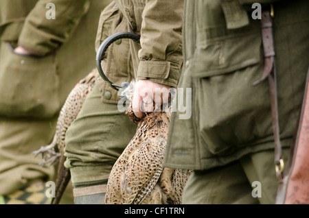 Drei Männer, gehen mit einem frischen Doppelpack von Fasanen in Dorset. Stockfoto