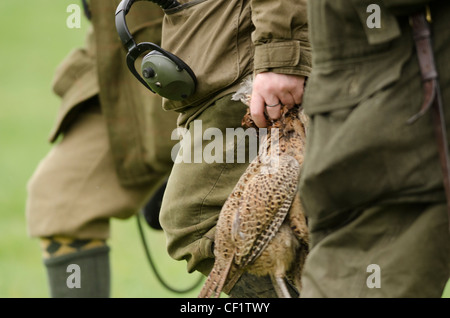 Drei Männer, gehen mit einem frischen Doppelpack von Fasanen in Dorset. Stockfoto