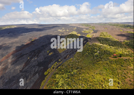 Isoliertes Haus im Wald von gekühlten Lavastrom an Kilauea Vulkan hängen, (Luftbild), Big Island, Hawaii Inseln, Usa Stockfoto