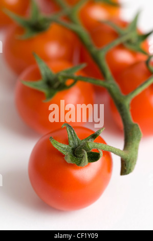Reife Rebe Kirschtomaten Studio gedreht Stockfoto
