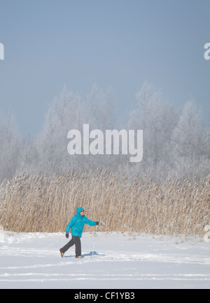 Ältere Frau Langlaufen, Finnland Stockfoto