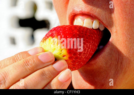 Frau zum Anbeißen aus einer Erdbeere, Calypso, Mijas Costa, Provinz Malaga, Costa Del Sol, Andalusien, Südspanien, Westeuropa. Stockfoto
