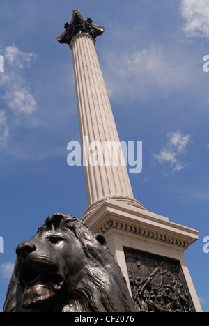 Nelson Säule und Löwe Statue.  Nelson Säule wurde im Jahre 1843 zum Gedenken an Admiral Nelsons Tod in der Schlacht von gebaut. Stockfoto