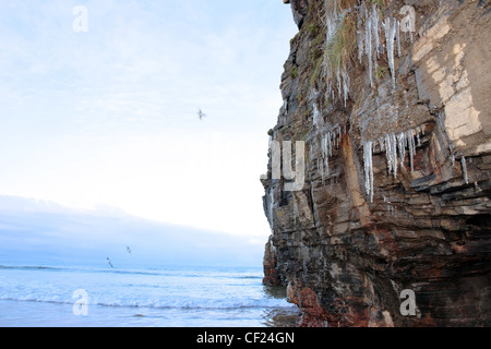 Eiszapfen auf einer Felswand in Ballybunion Irland an einem Winter-Morgen Stockfoto