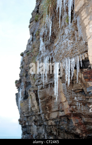 Eiszapfen auf einer Felswand in Ballybunion Irland an einem Winter-Morgen Stockfoto