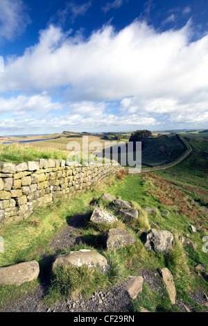 Blick nach Osten in Richtung Hotbank Klippen an Hadrian Wand. Stockfoto