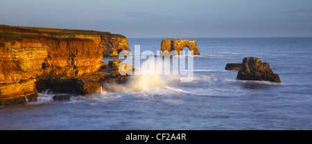 Am frühen Morgen leuchtet die Wellen der Nordsee, in der Nähe von Lizard Point und Marsden Bay. Stockfoto