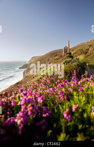 Blick auf Wheal Coates Zinnmine auf der Nordküste von Cornwall. Stockfoto