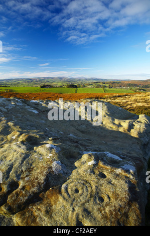 Northumberland National Park. Prähistorische Tasse und Ring Marken / Felsmalereien auf einem Stein am Lordenshaws in der Nähe der Lordenshaws Hügel Fort. Stockfoto