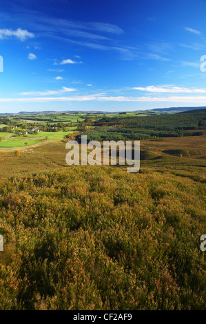 Northumberland National Park. Blick vom Harbottle Klippen Nature Reserve (Northumberland Wildlife Trust) in Richtung Harbottle Stockfoto