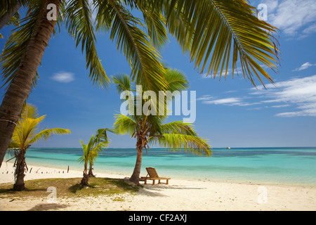 Strand, Palmen und liege, Malolo Lailai Island Mamanuca Inseln, Fiji, Südsee Stockfoto