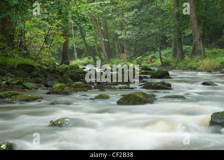 Der Fluß Esk fließt durch den Wald in North East Yorkshire. Stockfoto