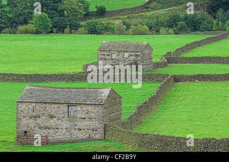 Stein Scheunen und Trockenmauern in den Yorkshire Dales. Stockfoto