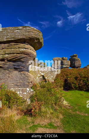 Pavian Rock bei Brimham Rocks auf Brimham Moor. Der Mühlstein Korn Felsen haben im Laufe der Jahrhunderte zu interessanten Form ausgehöhlt worden ein Stockfoto