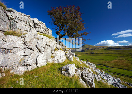 Blick auf Ingleborough, der zweite höchste Berg in den Yorkshire Dales und eines Yorkshire drei Zinnen, von Twistleton S Stockfoto