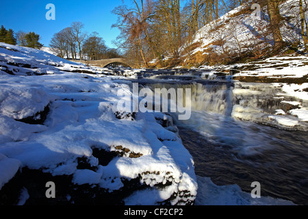 Stainforth Kraft, ein Wasserfall auf dem Fluss Ribble und 17.Jahrhundert Lastesel Brücke im Winter. Stockfoto