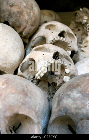 Menschliche Schädel von Opfern der Roten Khmer sind auf Anzeige im Choeung Ek Killing Fields Museum in Phnom Penh, Kambodscha. Stockfoto