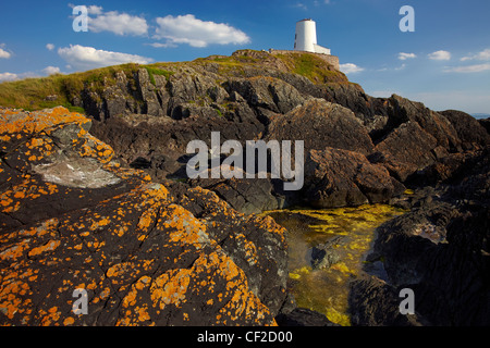 TWR Mawr (big-Tower) Leuchtturm auf Llanddwyn Island mit Flechten bedeckt die Felsen im Vordergrund. Der Leuchtturm wurde von operativen Stockfoto