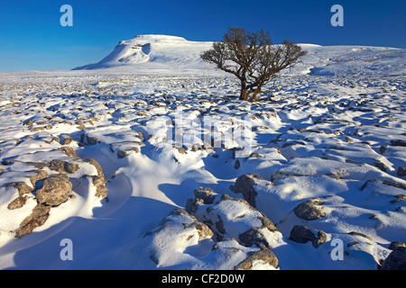 Winter-Blick Richtung Ingleborough, einer der Yorkshire drei Zinnen aus weißen Narben, eine große Kalkstein-Plateau in Yorkshire Stockfoto