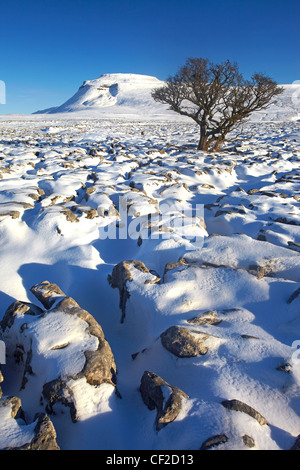 Winter-Blick Richtung Ingleborough, einer der Yorkshire drei Zinnen aus weißen Narben, eine große Kalkstein-Plateau in Yorkshire Stockfoto