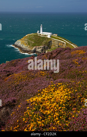 South Stack Leuchtturm auf der Nord West Küste von Anglesey bewachen den Eingang zum Hafen Holyhead. Stockfoto