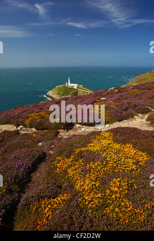 South Stack Leuchtturm auf der Nord West Küste von Anglesey bewachen den Eingang zum Hafen Holyhead. Stockfoto