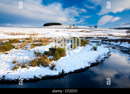 Typische Northumberland Landschaft nahe dem Dorf Otterburn, nach einem Winter Schneefall verwandelt. Stockfoto