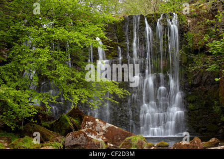 Hebden Beck kaskadenförmig über Felsen am Scala fällt. Stockfoto