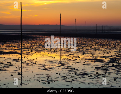Der Pilger Causeway die heilige Insel Lindisfarne vor der Küste von Northumberland mit dem Festland verbindet. Stockfoto